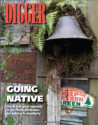 Digger Cover, June 2013